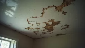 ile kosztuje malowanie sufitu po zalaniu