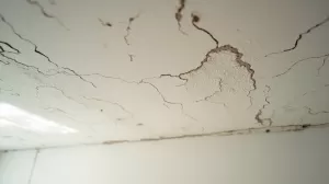 jaka farba na nierówny sufit